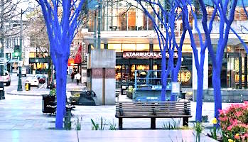 Westlake Seattle